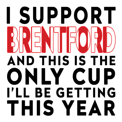 Funny Football Mug Gift – I Support and This is the Only Cup I’ll Be Getting This Year – Joke Present for Football Fans