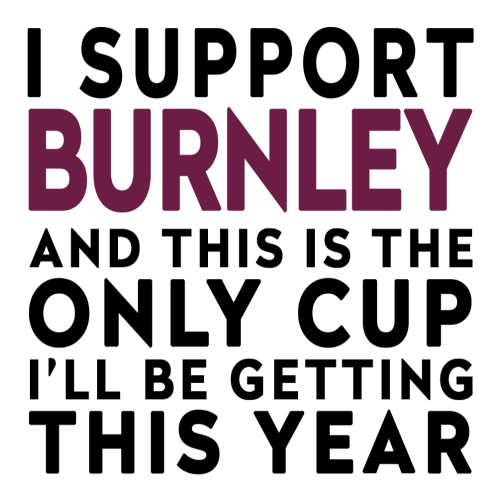Funny Football Mug Gift – I Support and This is the Only Cup I’ll Be Getting This Year – Joke Present for Football Fans
