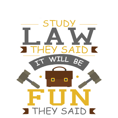 Novelty Gift For Lawyer - Study Law They Said It'll Be Fun They Said - Personalised Gift