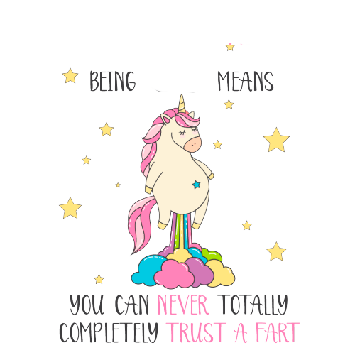 Rude Birthday Gift - Never Trust a Fart